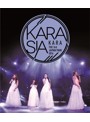 KARA THE 3rd JAPAN TOUR 2014 KARASIA/KARA （ブルーレイディスク）