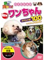 動物大好き！NEWワンちゃんスペシャル100