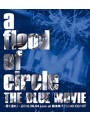 THE BLUE MOVIE-青く塗れ！-2016.06.04 Live at 新木場STUDIO COAST/a flood of circle （初回生産限定 10thアニバーサリーパック ブルーレイディスク）